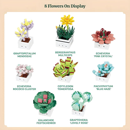 Mini Succulent Set – 977 PCS 8 DIY Brick Plants for Decor STEM building block toy by LOLIPOL